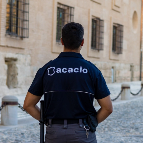 vigilancia seguridad privada personas