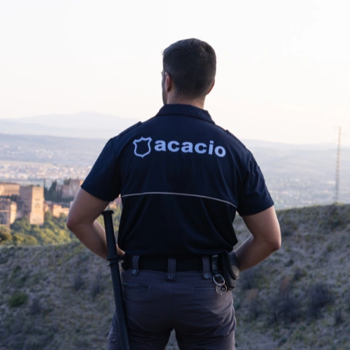 vigilante de seguridad